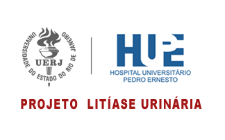 Médico Especialista em Urologia, com experiência comprovada em cirurgia de litíase urinária, endoscópica, convencional, videolaparoscópica e robótica