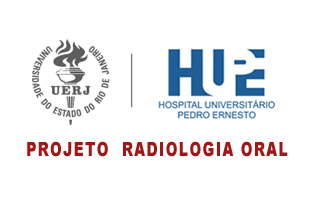 Analista de sistemas com experiência em laboratório de pesquisa e desenvolvimento na área de informática médico-odontológica e conhecimentos computacional em inteligência artificial em radiologia oral